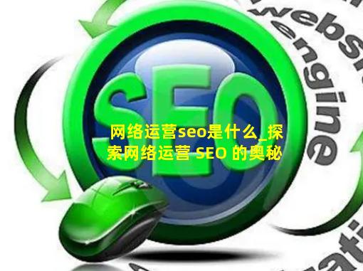 网络运营seo是什么_探索网络运营 SEO 的奥秘